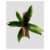 hanging_on_reduced